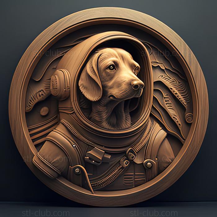 st Asterisk cosmonaut dog famous animal